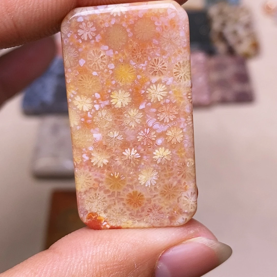 光***蓝硅化玉合金珊瑚玉