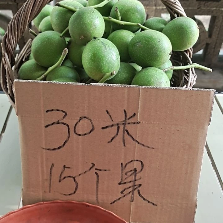 桃核吊坠青皮核桃