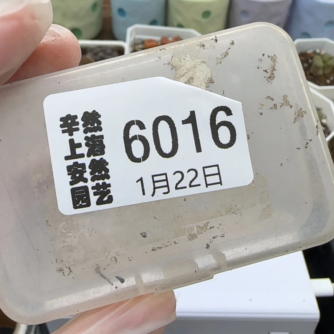 ω****了1.22 上播福利 饼干 6016