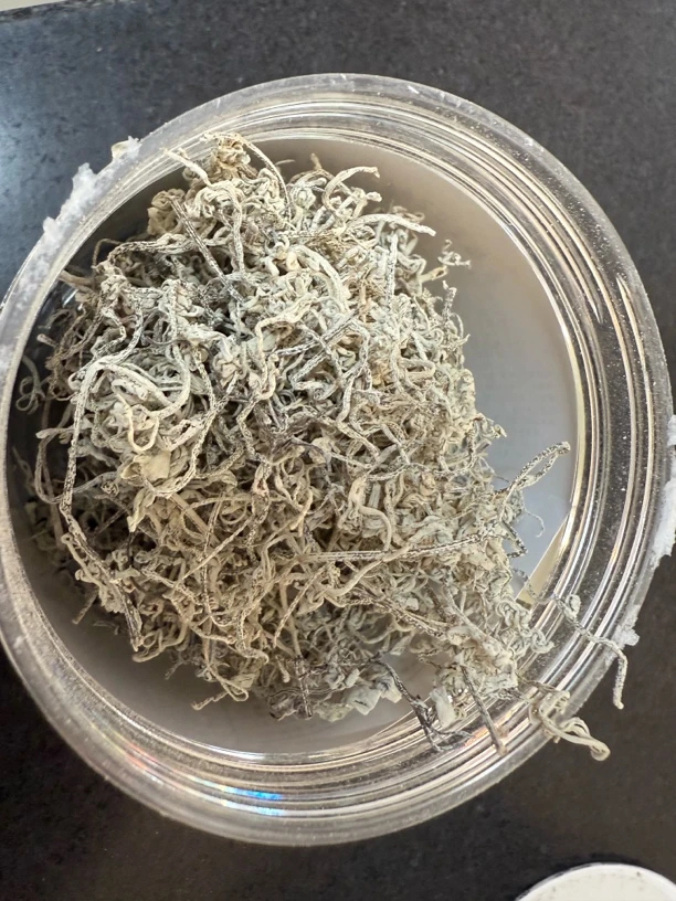 张家界莓茶小罐莓茶
