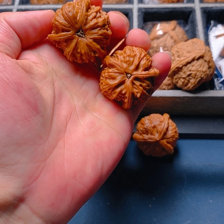 东***安文玩核桃把件核桃