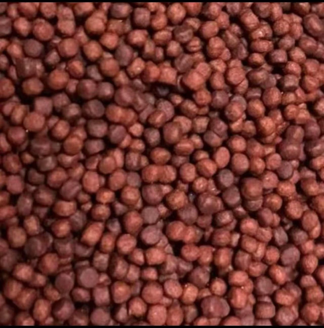 罗汉鱼鹦鹉鱼专用通用小颗粒增色饲料袋装简装200g适于6-25cm