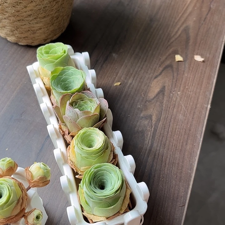 混播玫瑰5个带长盒