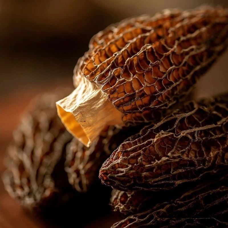 云南山货 农家羊肚菌