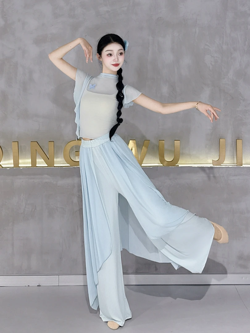 古典舞练功服女裤子飘逸阔腿裤成人舞蹈服装现代舞网纱拼接练功裤