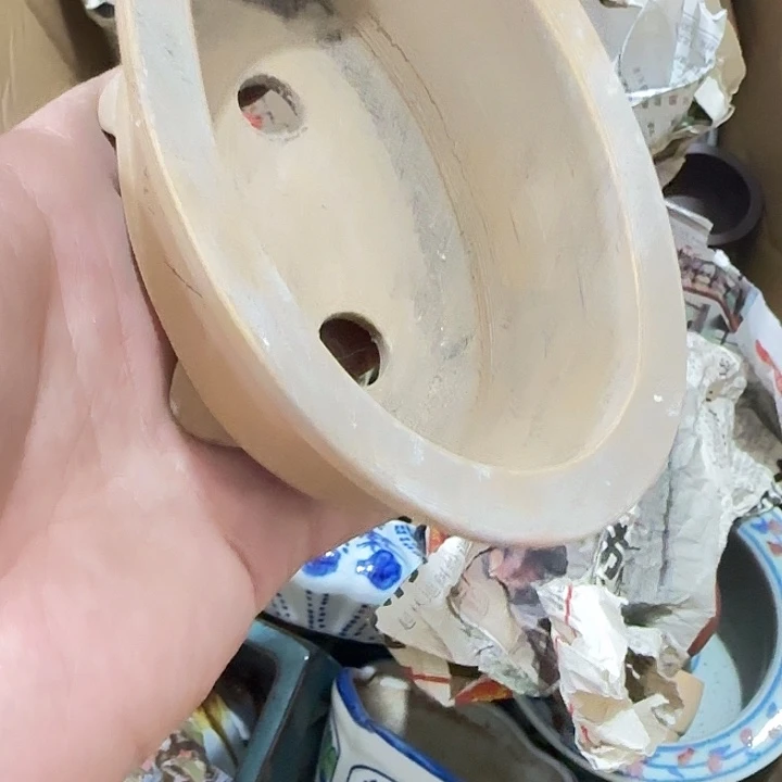 小***建扇子故哈哈哈哈哈哈哈哈不好