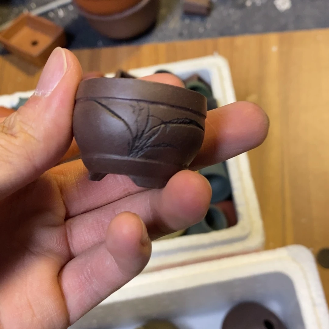 贾***飞vvvVVCvvvvvvvvvvvvvvvv