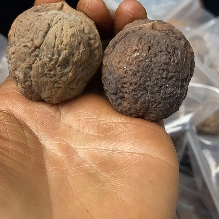 把件文玩核桃云南铁核桃基地30