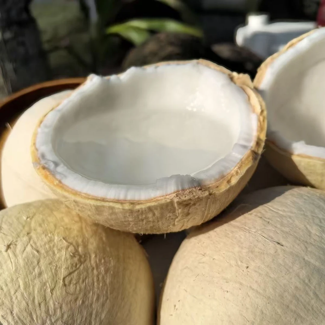 【京东快递】海南牛奶椰皇/奶椰/椰青椰皇精品特大果王海南新鲜椰子