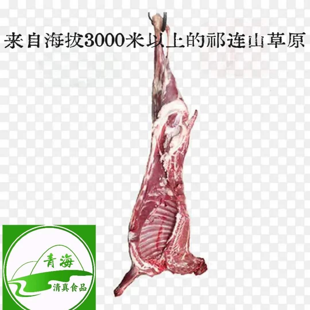 祁连草膘藏系羊半羊现切17-18斤半只半扇切块烤全羊60%腿排羊肉