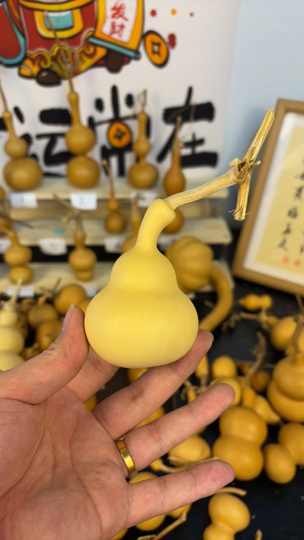 葫芦 一物一拍 高货专用