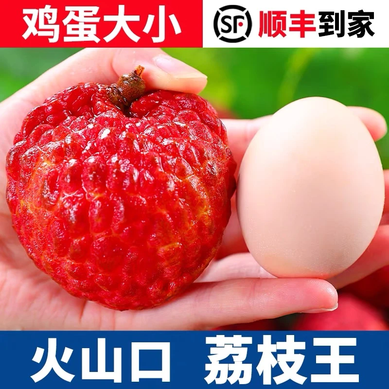 n【顺丰】海南荔枝王1-4斤新鲜水果当季火山口荔枝王