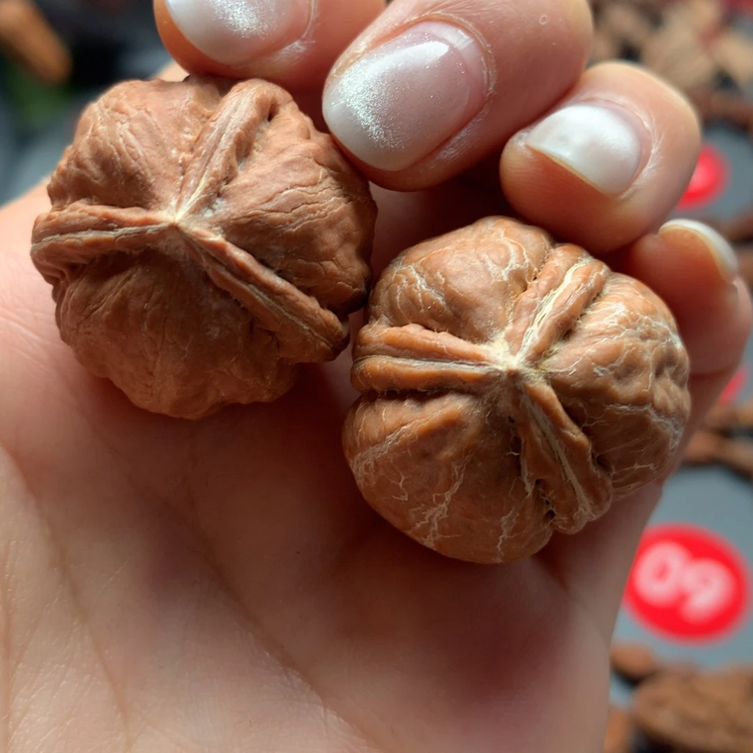 核桃32东北三棱30-29