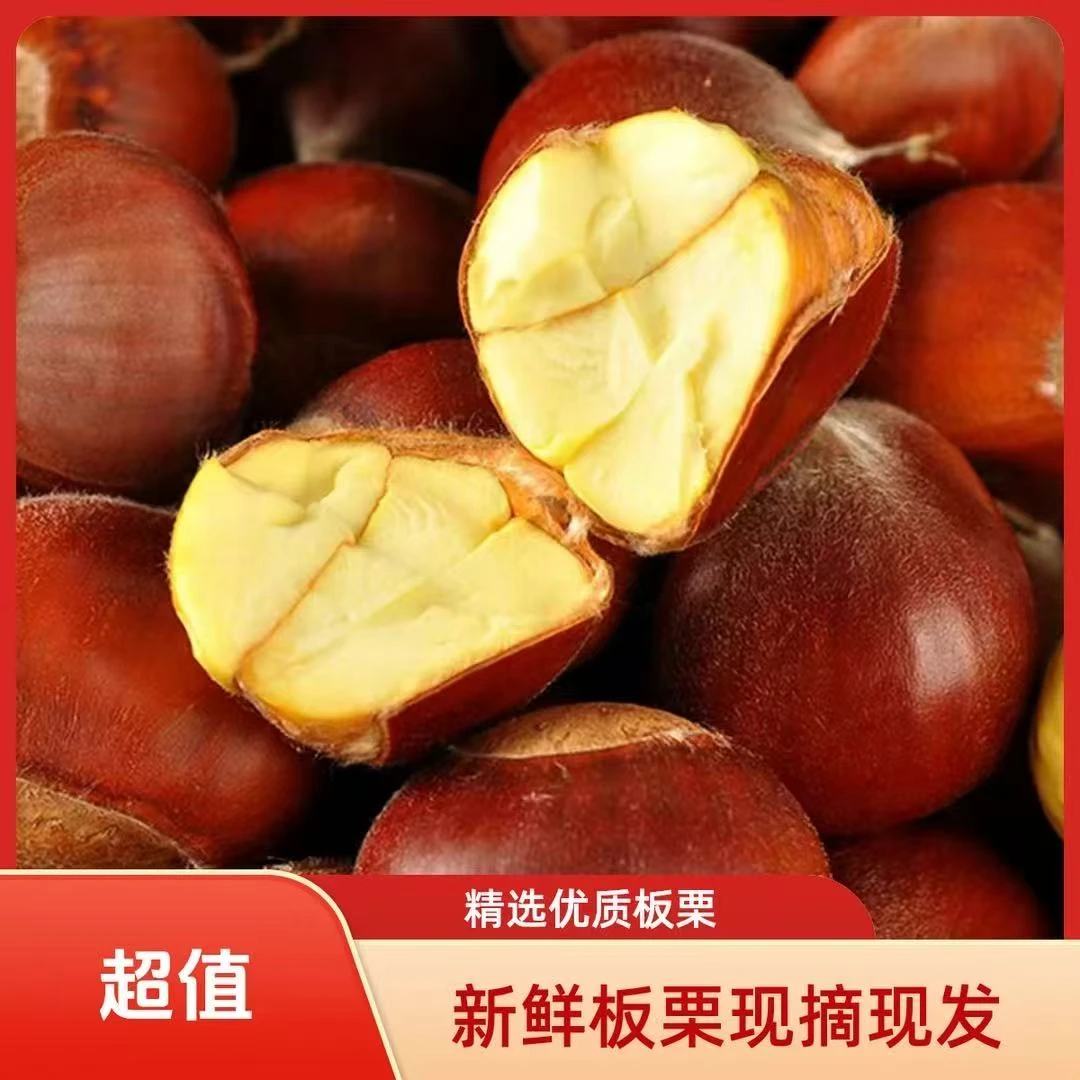 高山新鲜现摘板栗清脆甘甜鲜香粉糯好剥皮
