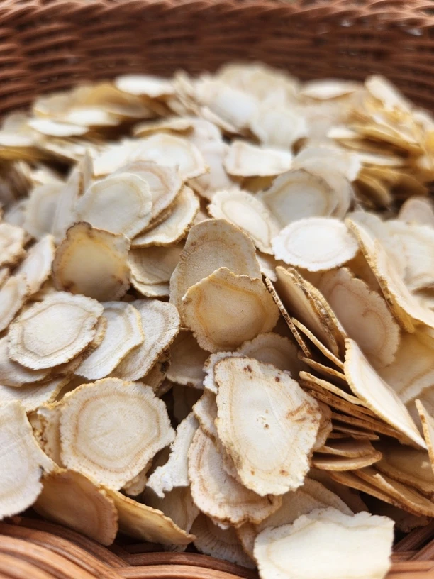 精选西洋参爷爷片