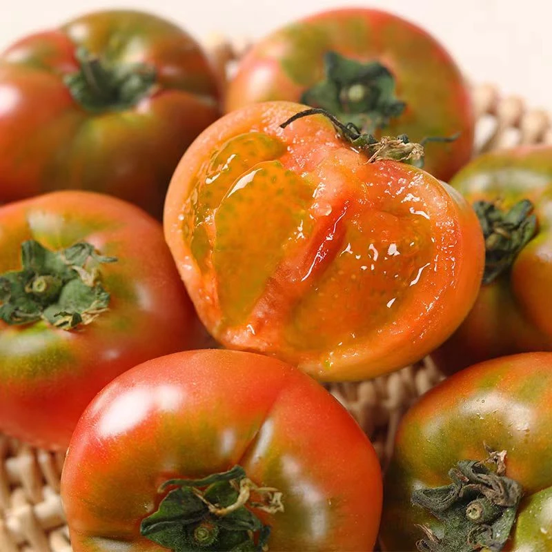 草莓西红柿3/5斤 新鲜采摘新鲜发货自然成熟铁皮柿子包邮到家北京市