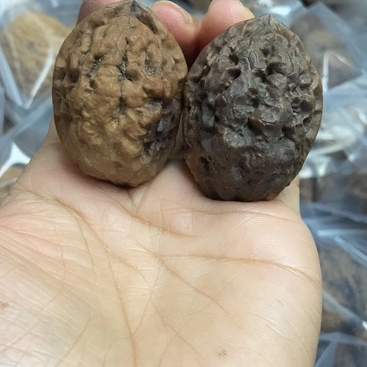 文玩核桃把件云南铁核桃基地39