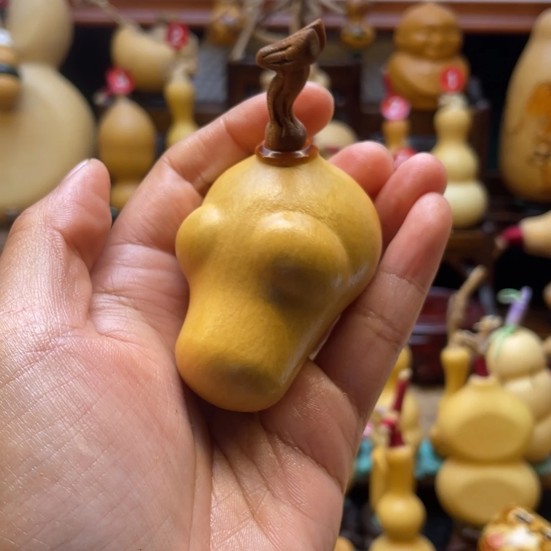 金*葫芦笙等乐器演奏和演奏等多种