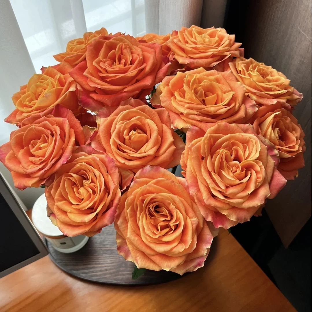 【欢乐颂】高品质全店两单顺丰冷链包邮家居鲜花养护