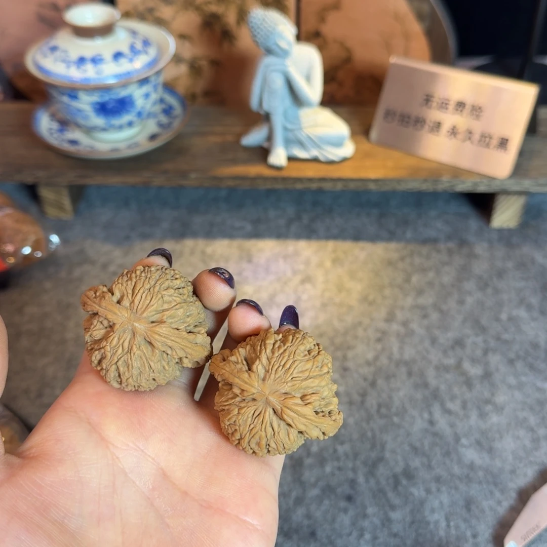 全品46南疆一代白茬