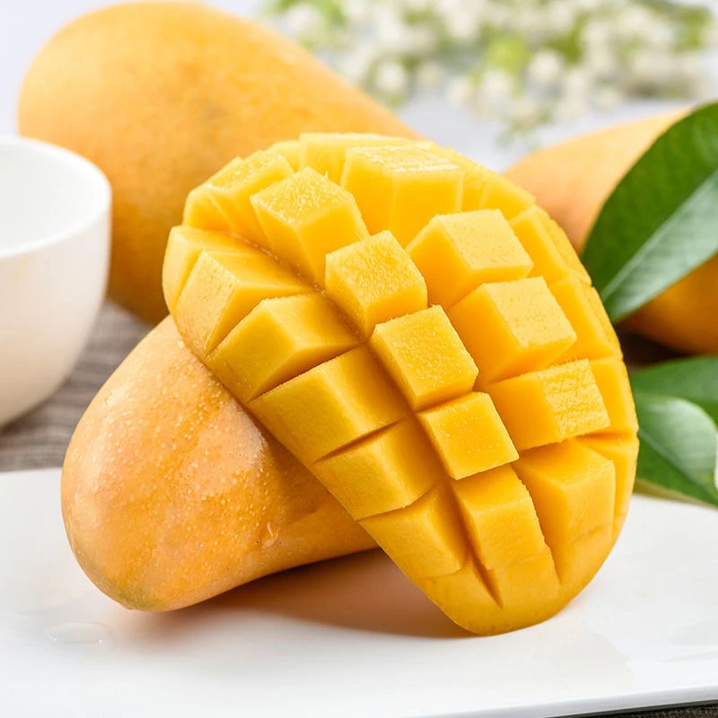 【催熟后食用】正宗海南芒果金煌芒新鲜现摘软糯香甜多汁热带水果
