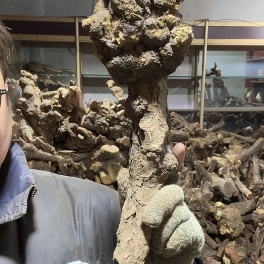 香榧木1****消火琉璃的毛料摆件