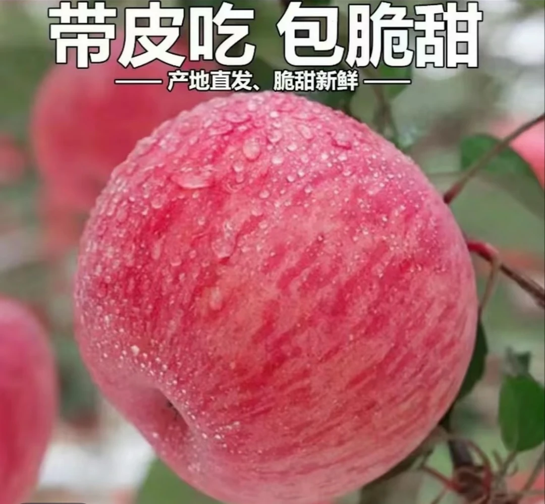 陕西洛川红富士苹果新鲜脆甜多汁皮薄肉厚产地直发