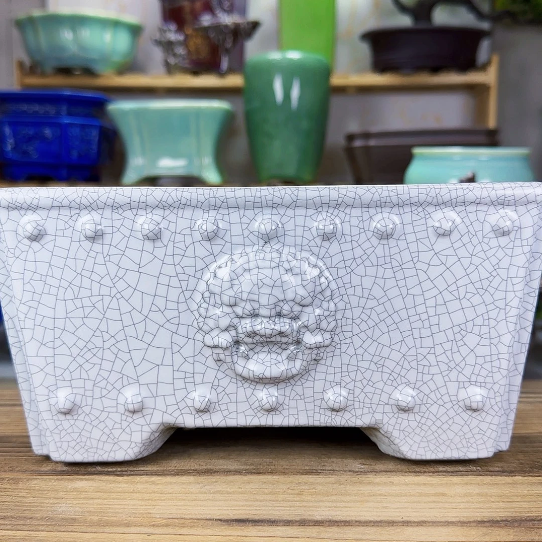 陶瓷花盆特价上新