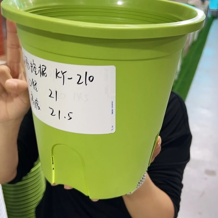 正品圆控口21高21果绿无托8只