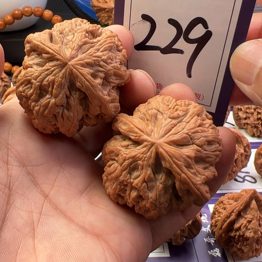 文玩核桃把件全品球筋45尺寸229号