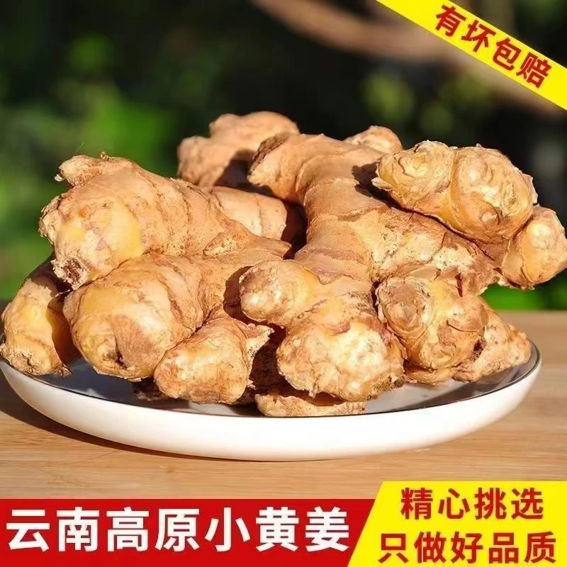 云南小黄姜高山种植新鲜现挖嫩姜生姜子姜月子姜整箱批发