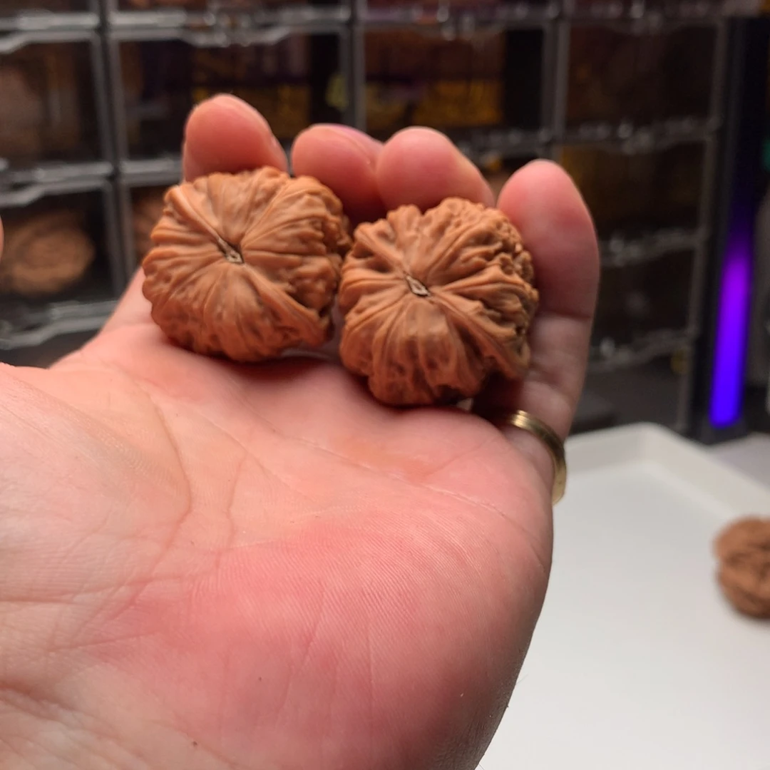 风***生桃核吊坠黑马666888