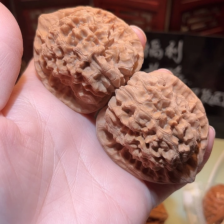 官帽福利对……………………