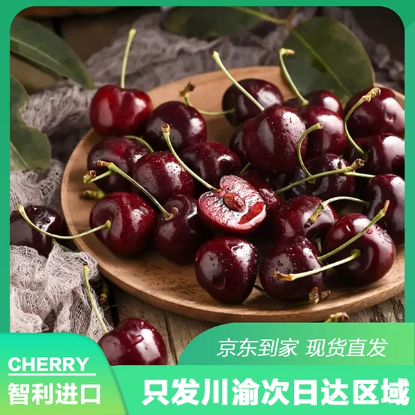 桑提娜1JDD智利海运车厘子5斤原件2斤分装 内附果径卡