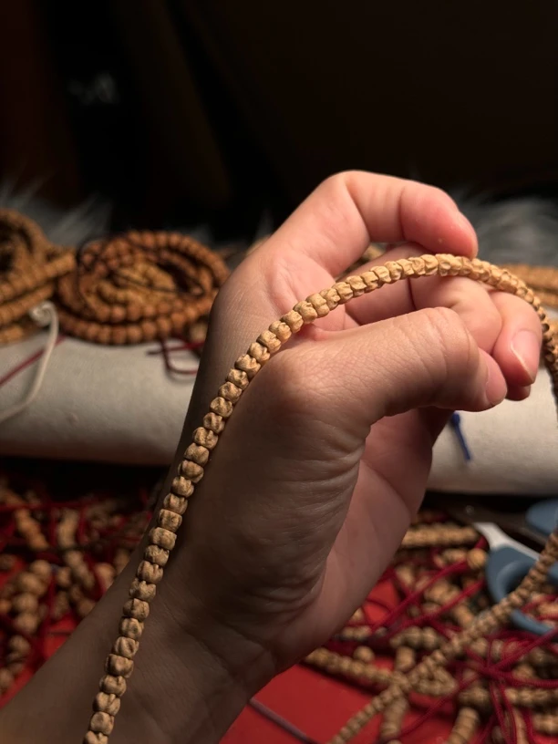 热振柏香籽龙脊多棱小药神尺寸5左右