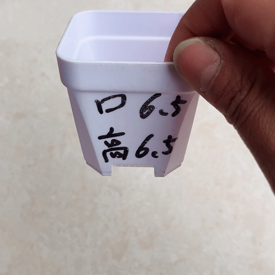 塑料加厚矮胖6.5白方盆30个无托