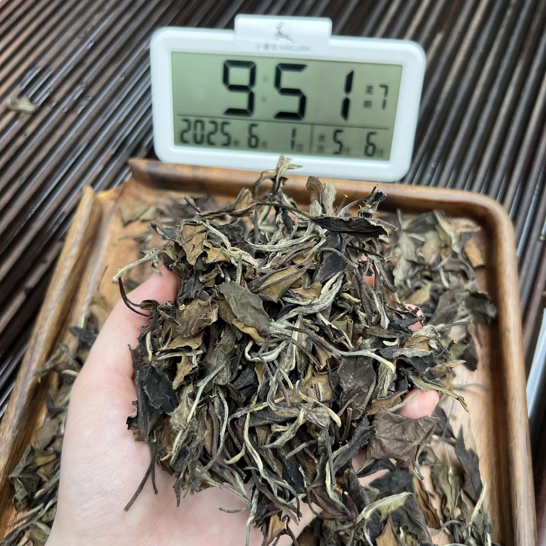 2008福鼎白茶老贡眉 ① 小鹿收茶 白茶 传统工艺 6月1