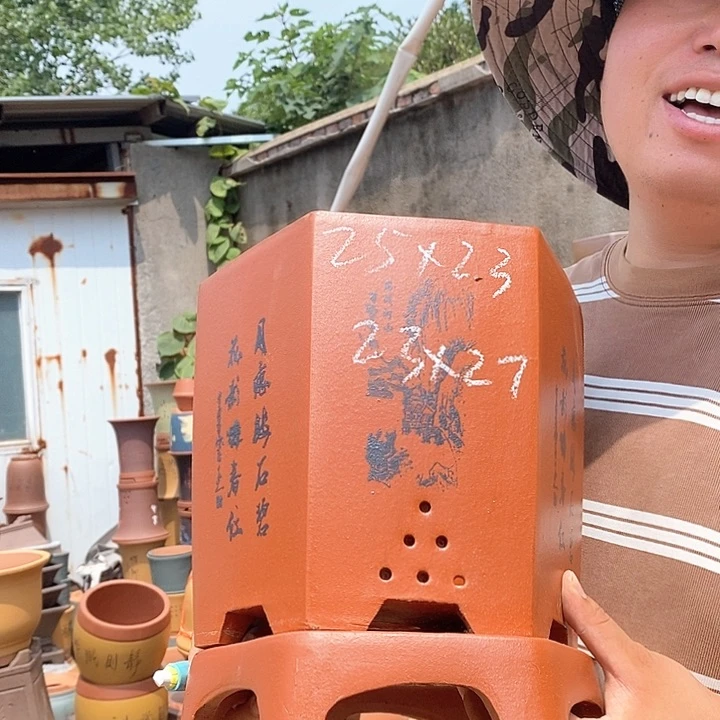 紫砂花盆盆栽植物花卉种植