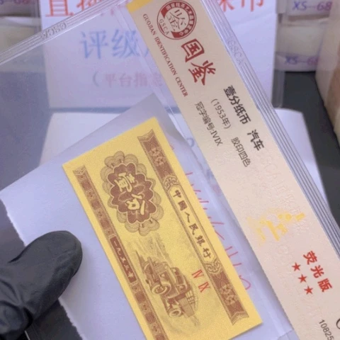 P冠多彩特强黄金甲一标