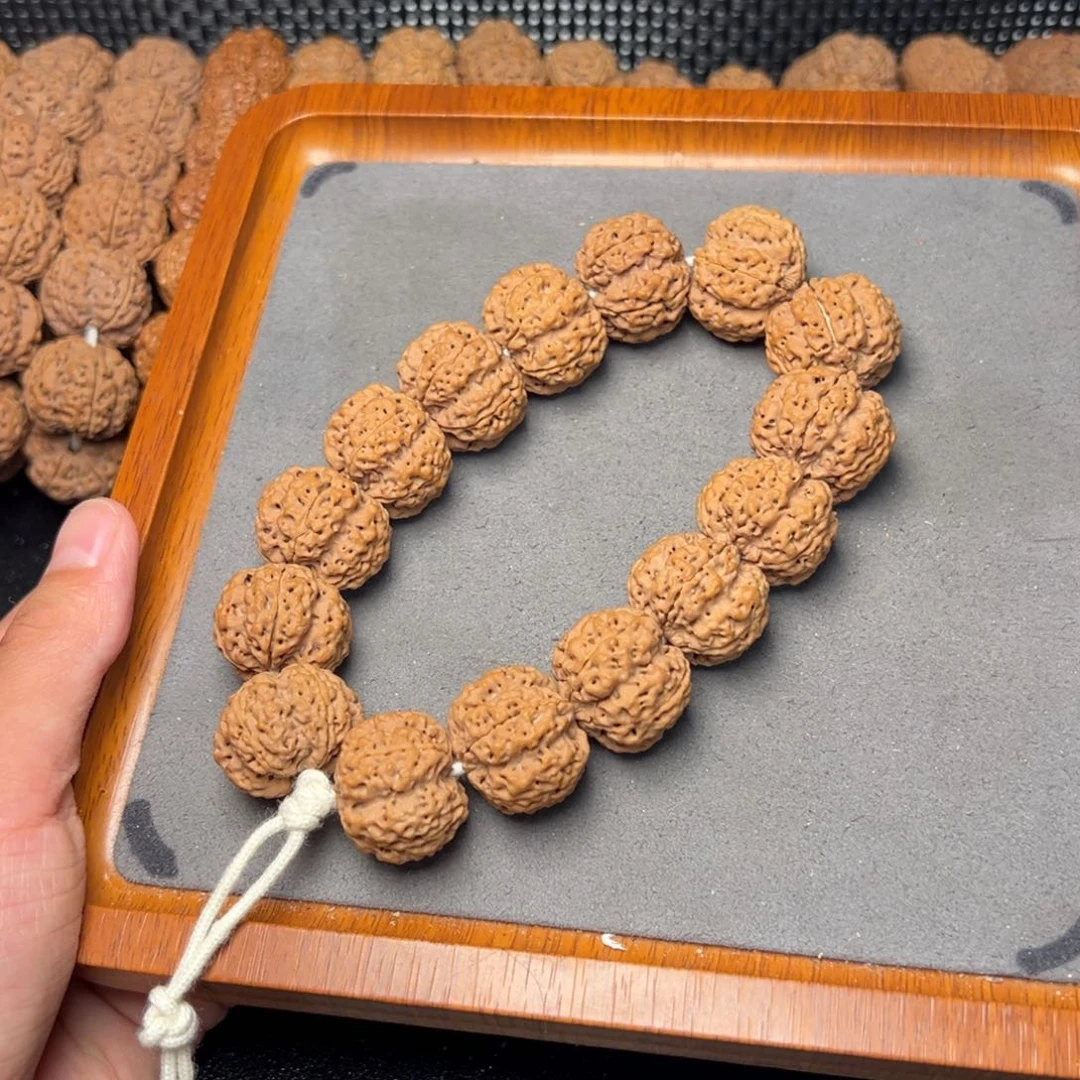 菩提4号尼泊尔大金刚23双龙戏梅梁