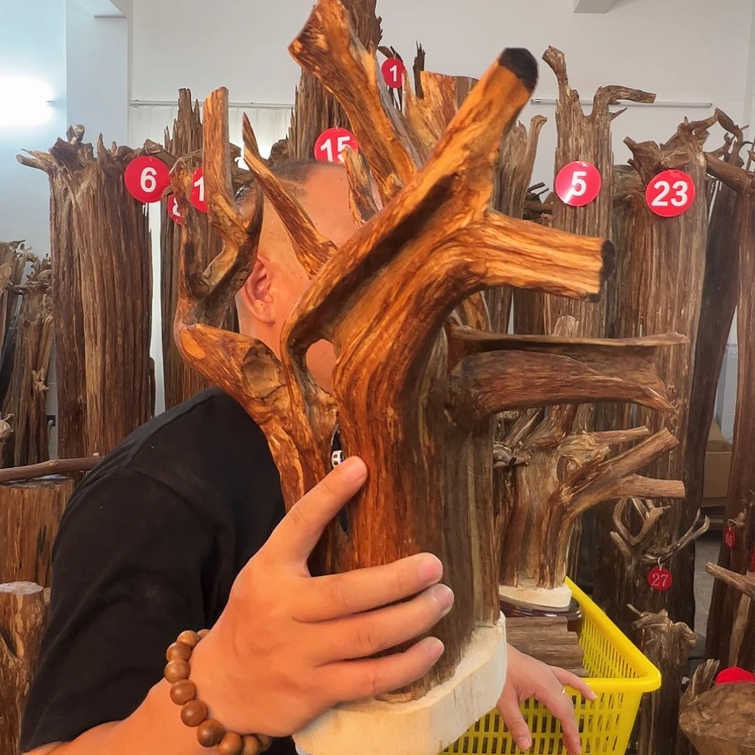 好***连摆件沉香沉香原料