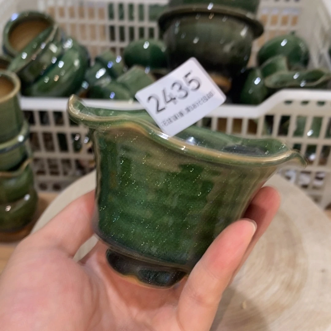 花盆、阳光猫眼绿系列