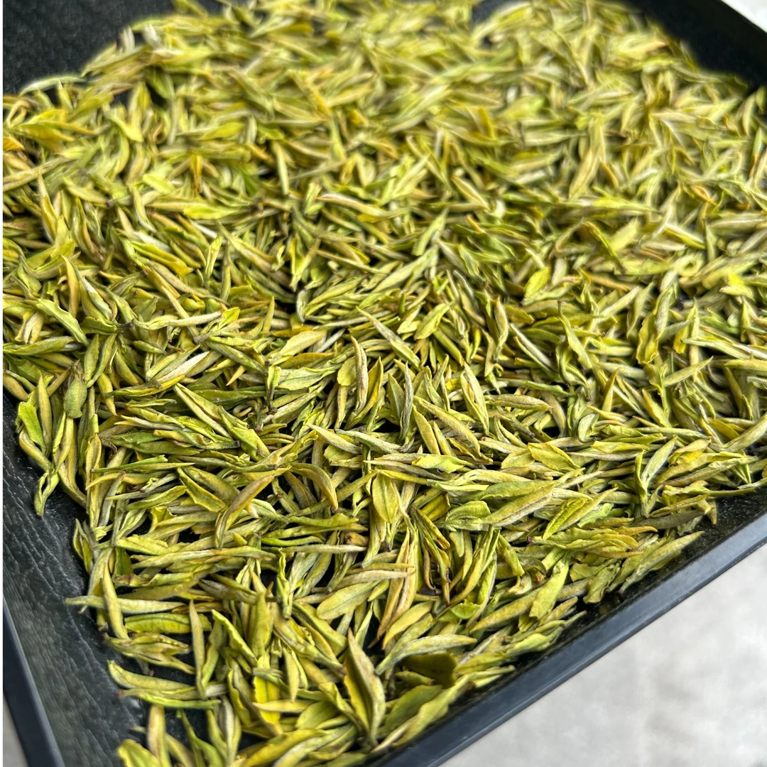 2025 新茶 奶白黄金芽 开园头采 鲜爽好喝
