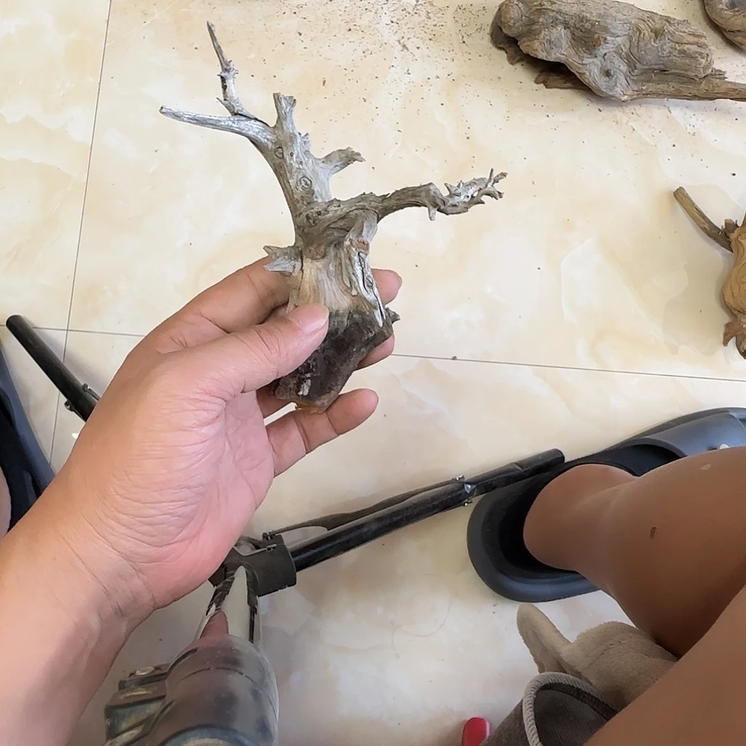 琦***木陈化到位坨坨疙瘩