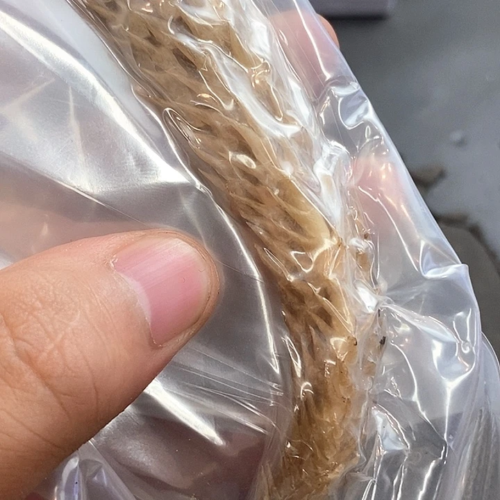 大果紫檀（缅甸花梨）010