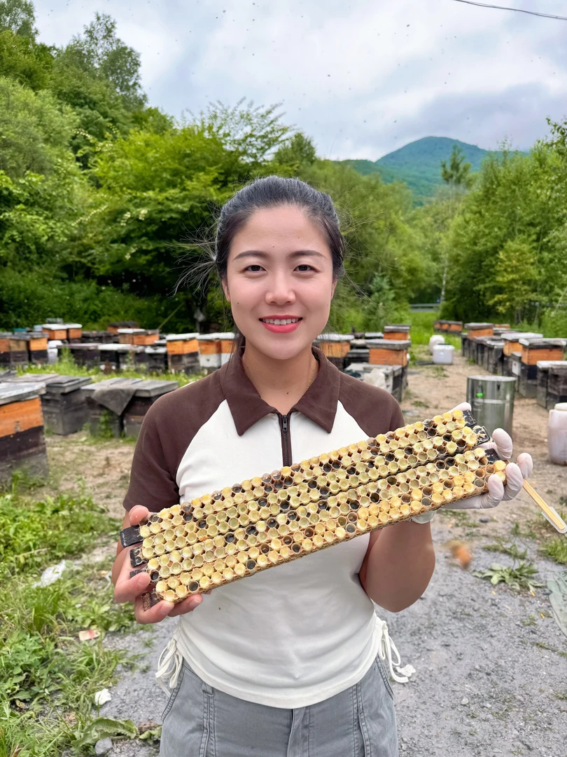 （小梅花甄选）25年蜂农自产天然蜂王浆 （又叫蜂皇浆）1斤/瓶