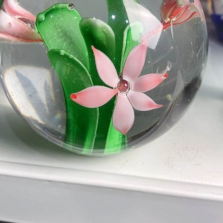 月**情微瑕145555552655558558888