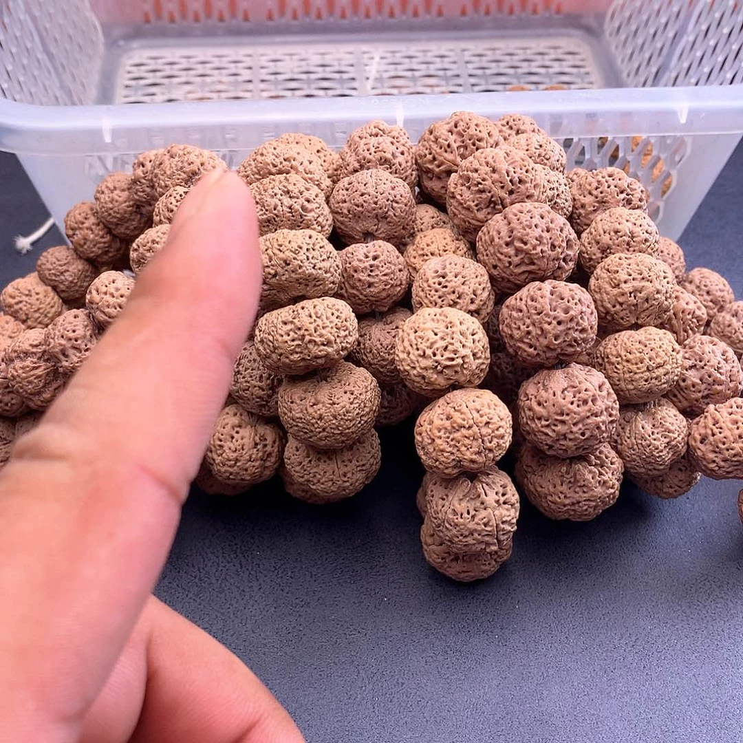 金刚菩提吊坠581111111111