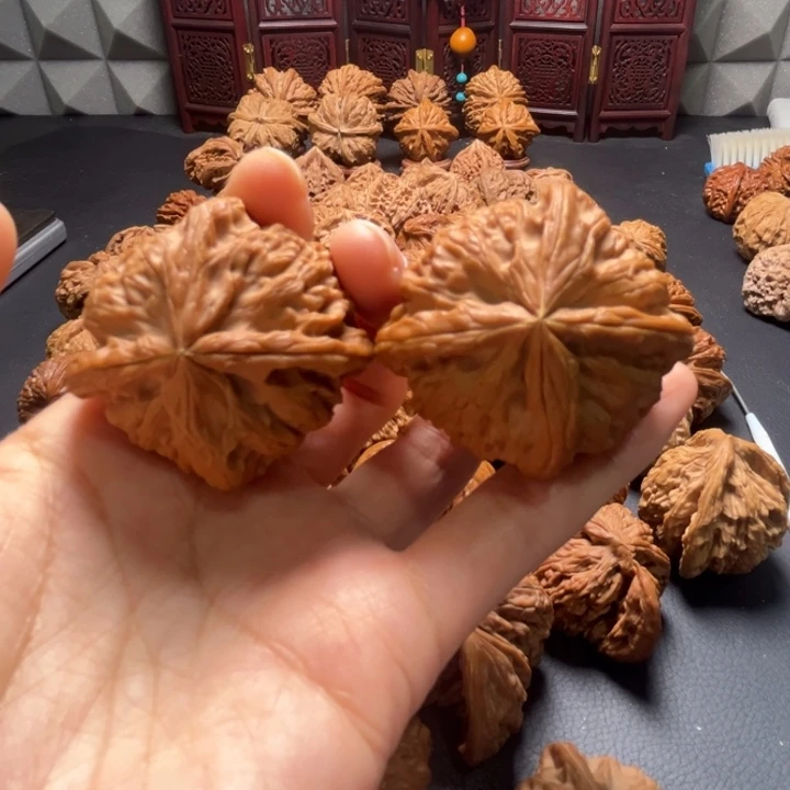 宫灯x战警四棱44尺寸核桃哈哈哈哈哈哈哈