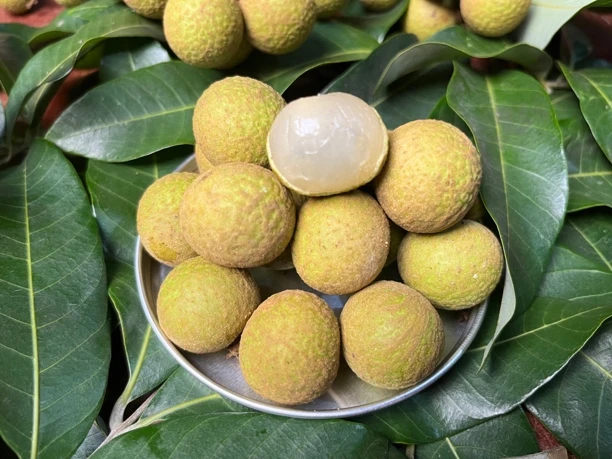 【顺丰包邮老树龙眼】茂名高州（50年老树石硖龙眼）不泡药水不泡冰水